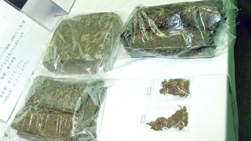 年轻人吸食大麻现象蔓延，查获案件数居高不下