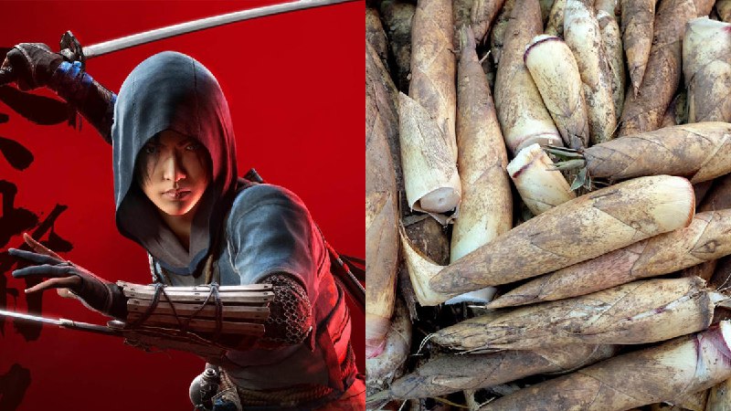 《刺客教條:暗影者》女忍者能用「竹筍」在水下呼吸？Ubisoft 搞錯竹子的英文引網友吐槽