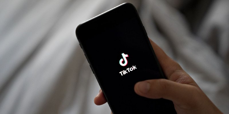 研究人员：TikTok神秘算法对美国监督构成挑战