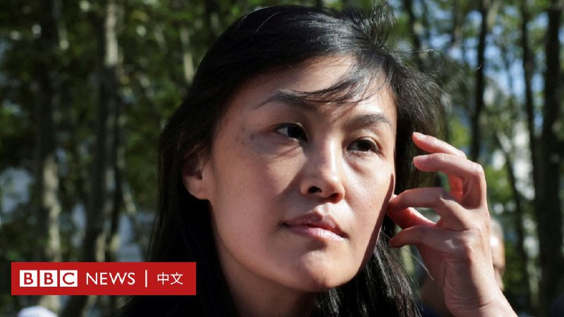 孙雯被控“外国代理人”更多细节：法拉利、檀香山公寓、盐水鸭以及插手台湾新疆议题