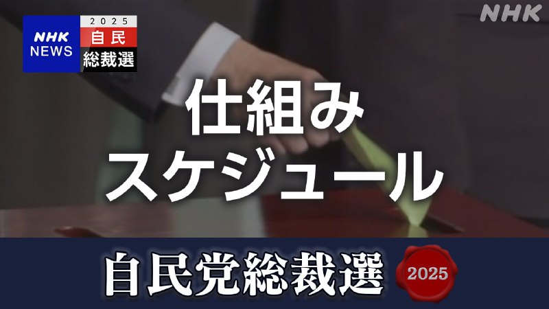 自民党総裁選 投票開票の仕組み 国会議員票・党員票とは 日程スケジュールは | NHKニュース
