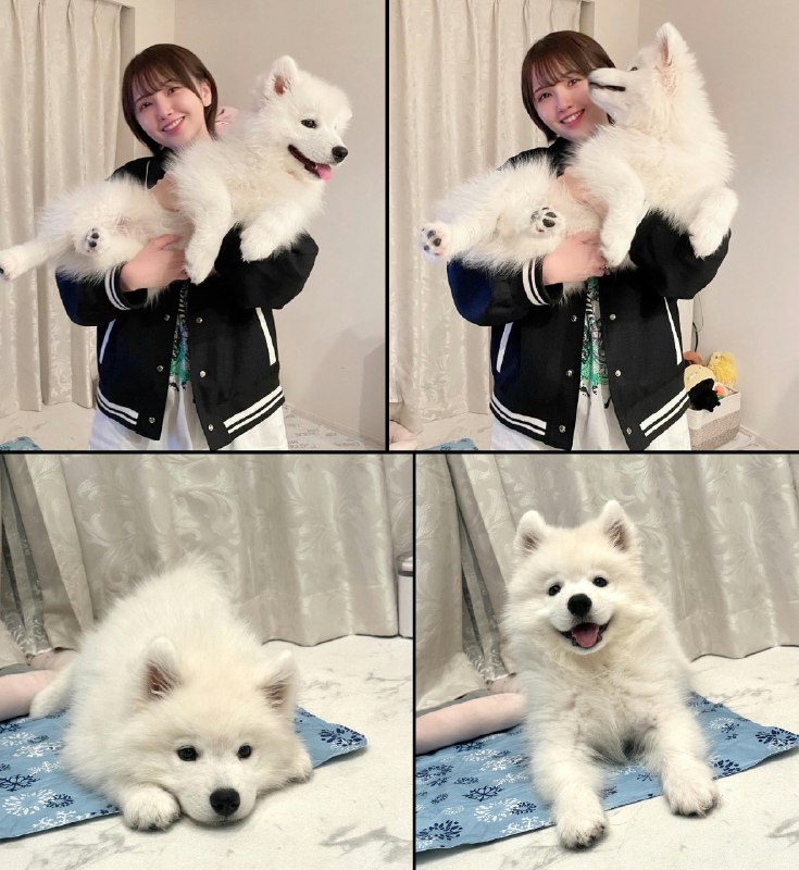 内田 秀 ㅣShu Uchida (@uchida_shu0524)