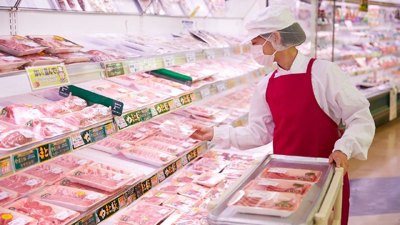 半数已婚女性“年收入不足100万日元”