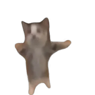 Video Sticker