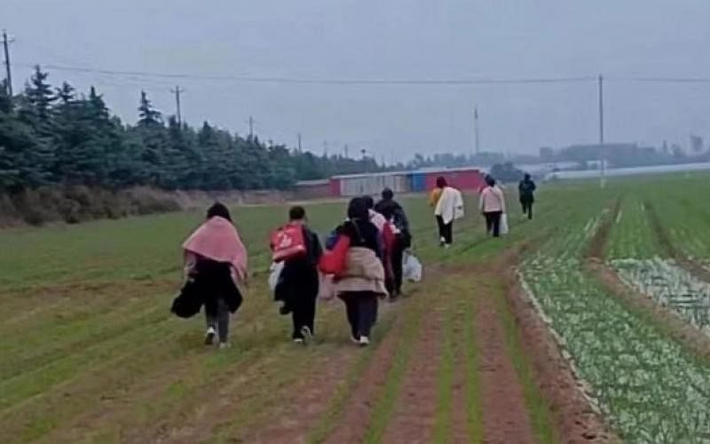 下午察：富士康“大逃逸”