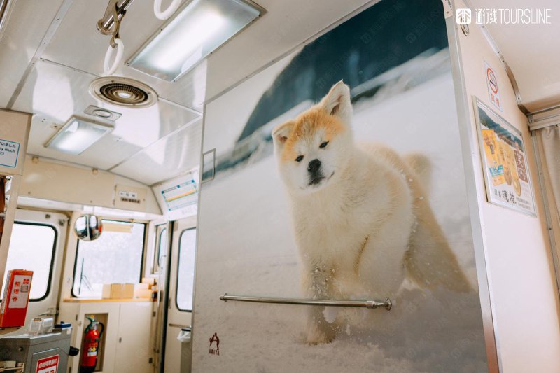 #通行线·日本铁道#【秋田内陆纵贯铁道发生列车脱轨事故】今日清晨，日本秋田内陆纵贯铁道发生一起列车脱轨事故