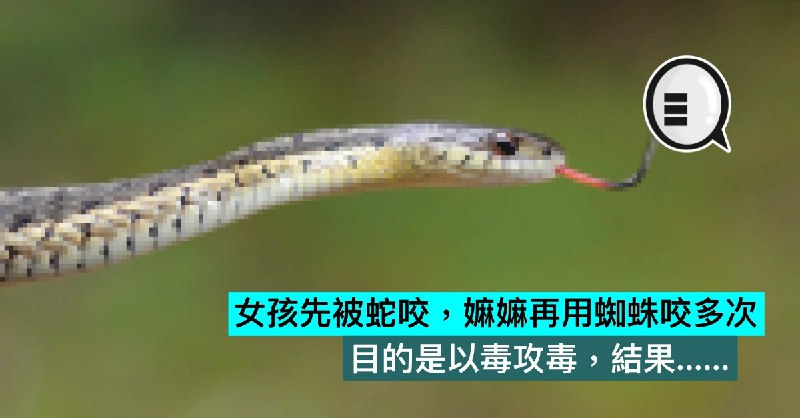 女孩先被蛇咬，嫲嫲再用蜘蛛咬多次，目的是以毒攻毒，結果……