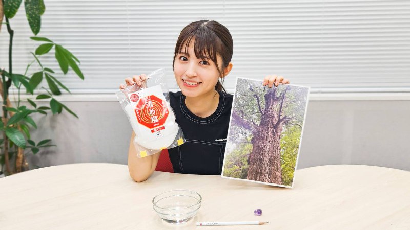 逢田梨香子 (@Rikako_Aida)