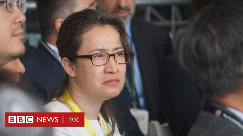 台湾2024总统大选：赖清德宣布萧美琴为副总统搭档 一文读懂其从政之路