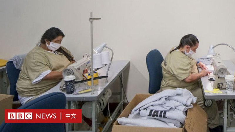 美国中期选举2022：奴隶制存废为何仍然成为五个州的投票议题