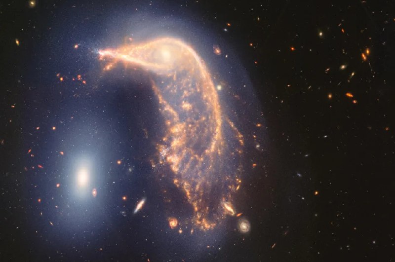 韋伯望遠鏡二週年！ 企鵝星系與蛋星系再展現宇宙奧秘