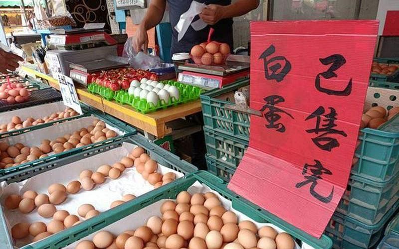 下午察：台湾“蛋蛋的忧伤”