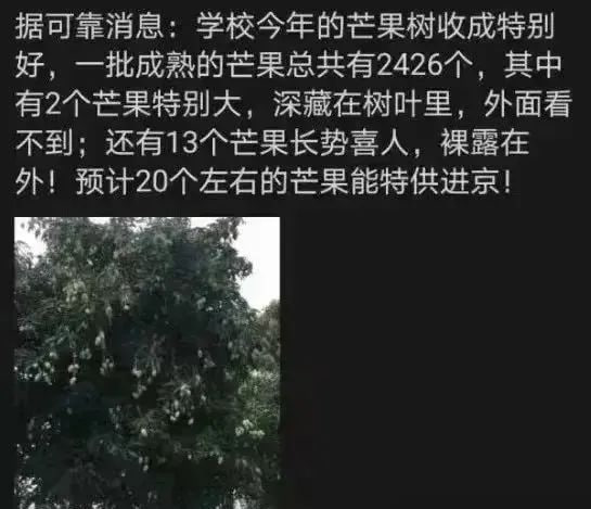 还挺抽象还挺抽象