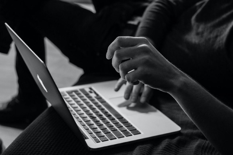 Newlearnerの自留地