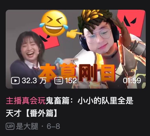 大熊真的是火出圈了