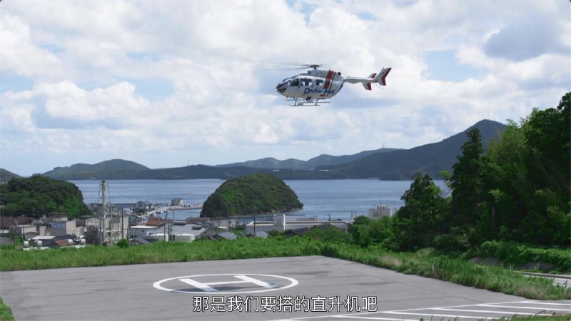 啊是Doctor・Heli