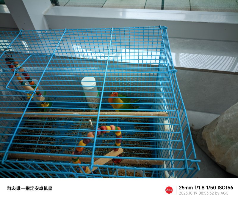 同事上班带这东西，怪